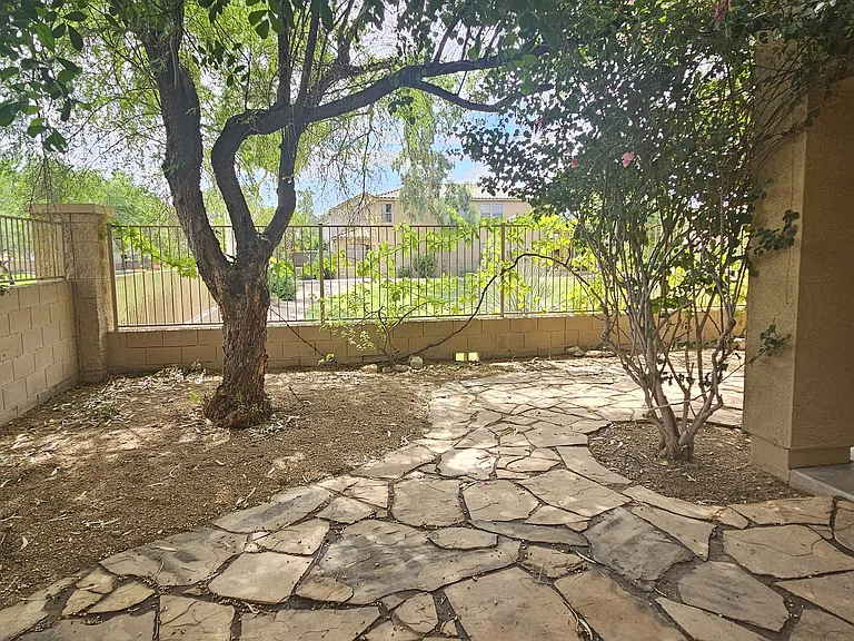 Backyard looking to green area next door