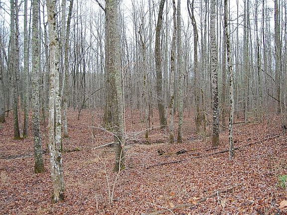 5th image of 9 Twin Oaks Rd