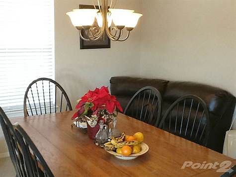 4th image of 466 Goldshire Pl