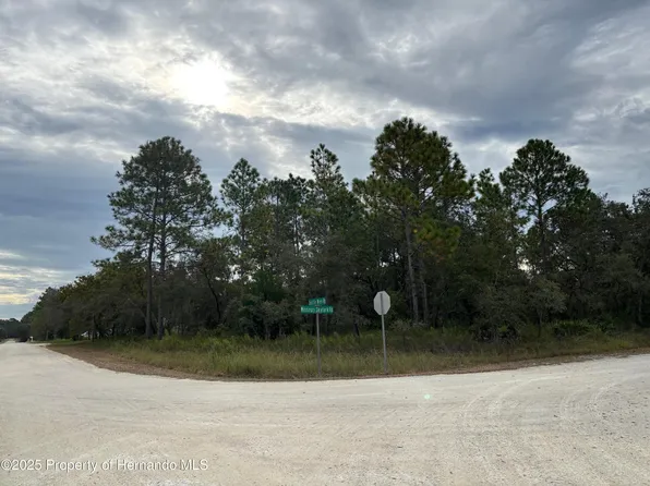 LOT 1 Missouri Skylark Rd, Brooksville, FL 34614