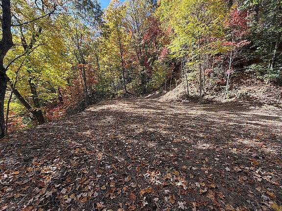 4th image of 11 High Springs Rd