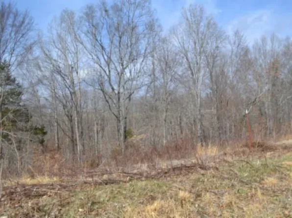 Hush Hollow Ln, Baxter, TN 38544