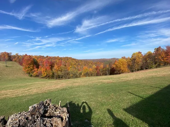 4460 Widen Dille Rd, Dille, WV 26617