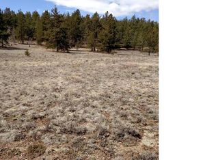 352 Lariat Loop, Hartsel, CO 80449