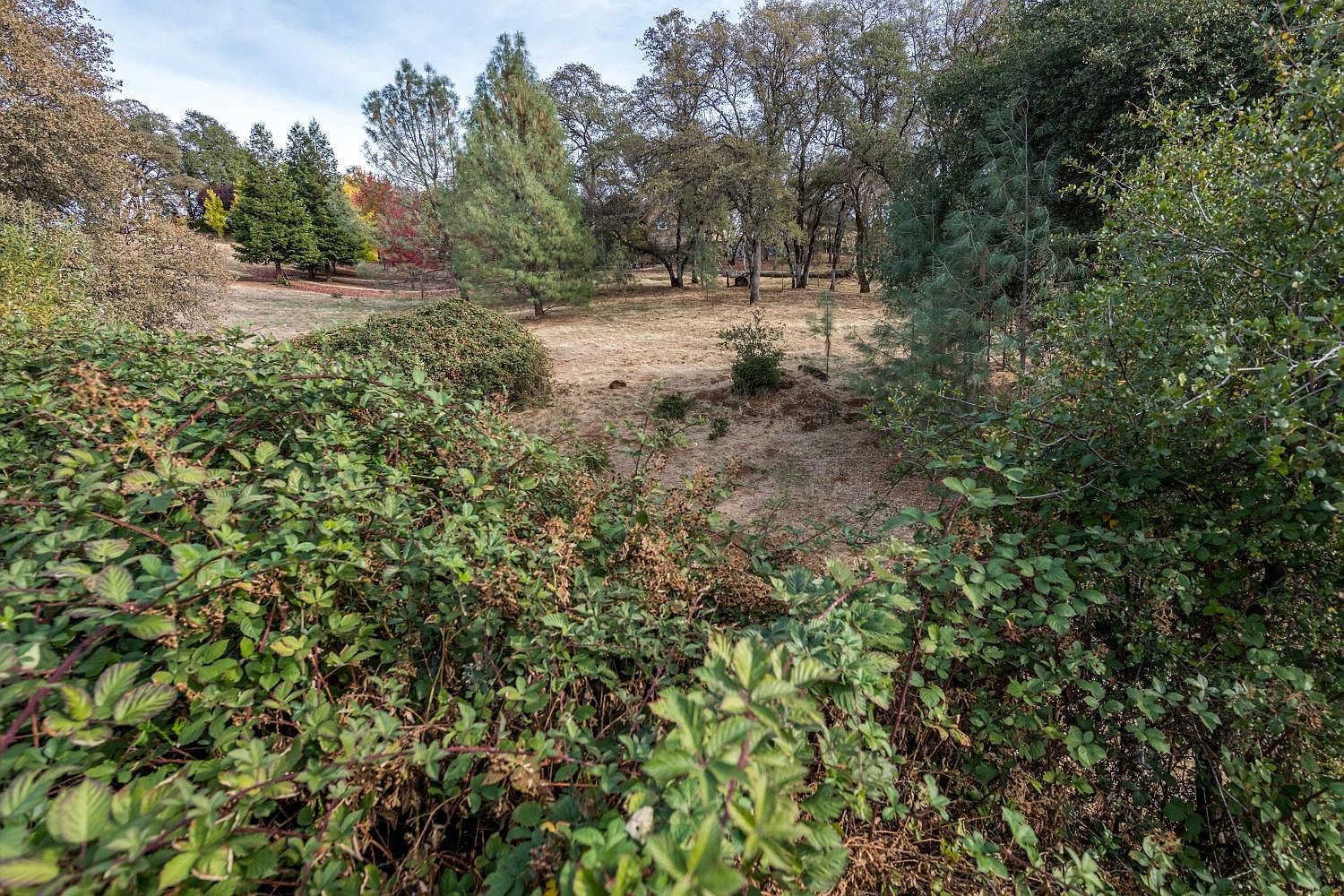 1291787 Austin Forest Cir, Auburn, CA 95602 MLS 224077726 Zillow