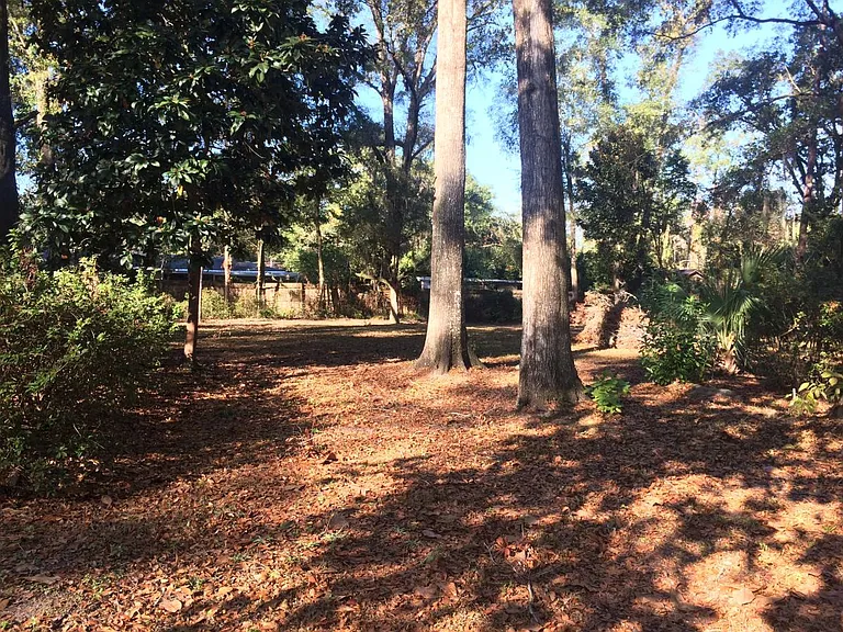 Back yard