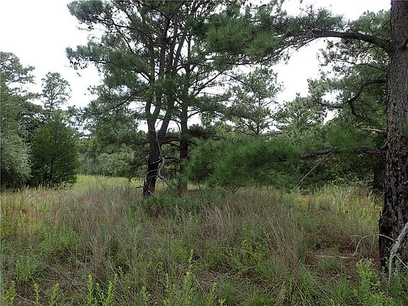 2nd image of Piney Ln
