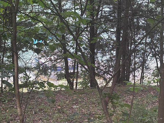 3rd image of 2327 Boat Dock Rd