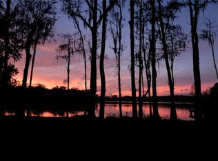 16308 Rock Lake Dr, Odessa, FL 33556