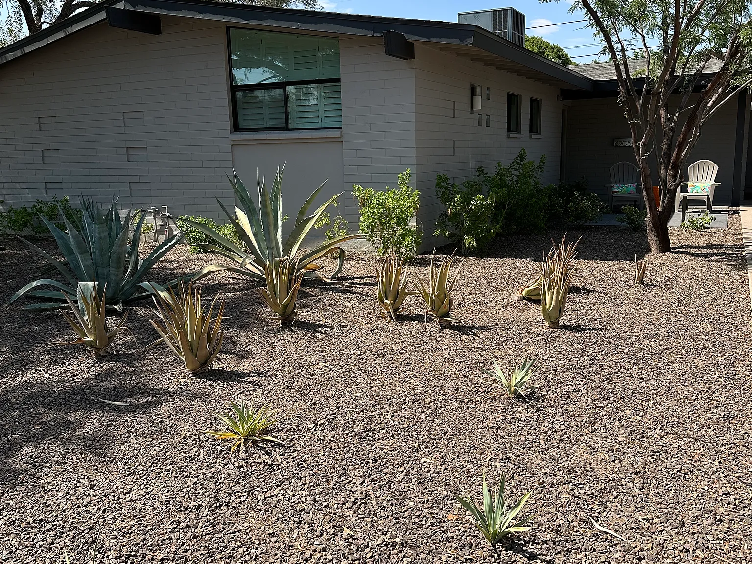 3 bed, 1700 sqft, $3,400 — Photo 2