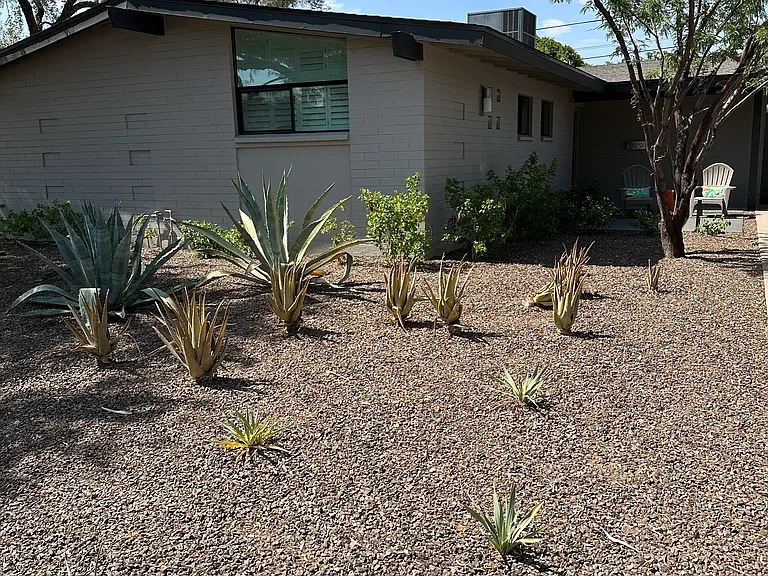 6908 E Monterey Way — Photo 2