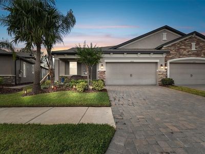 19315 Hawk Valley Dr, Tampa, FL, 33647