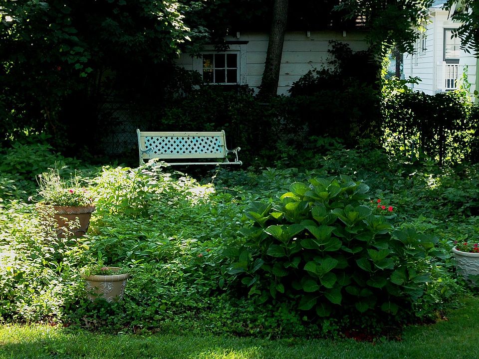 at the back of the yard