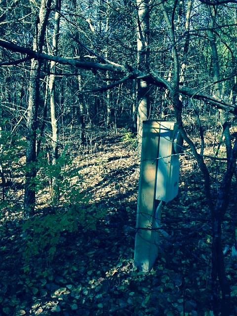 2nd image of N14366 17th Ave N