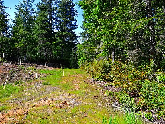 Build site facing driveway