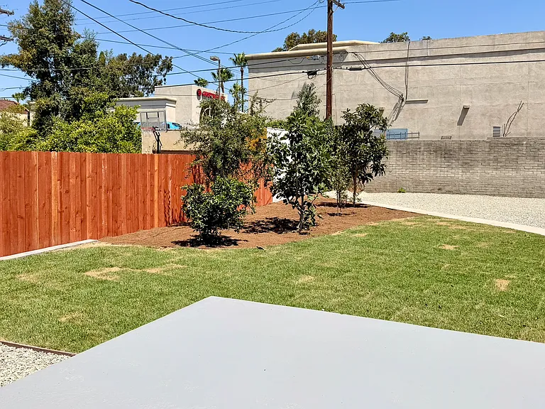 Backyard from patio