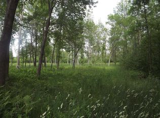 Banwell Rd, Alanson, MI 49706