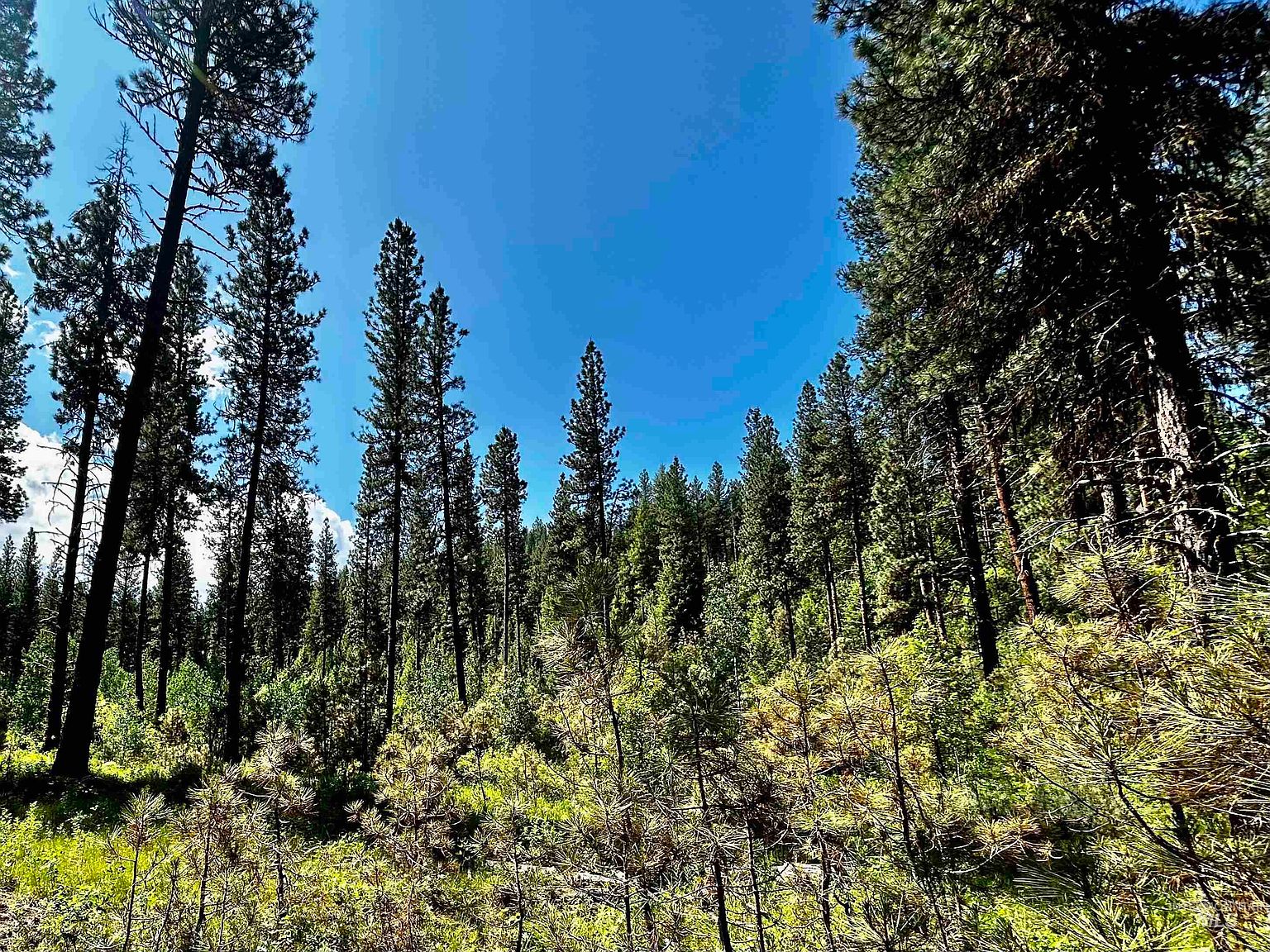 Shaw Gulch Rd LOT 12, Idaho City, ID 83631 MLS 98880633 Zillow