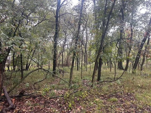Blue Grouse Ct, Afton, OK 74331