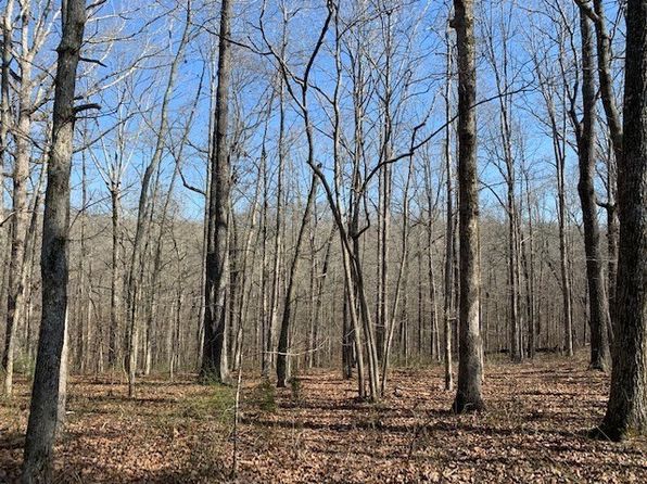 146 Quail Ridge Rd, Summertown, TN 38483