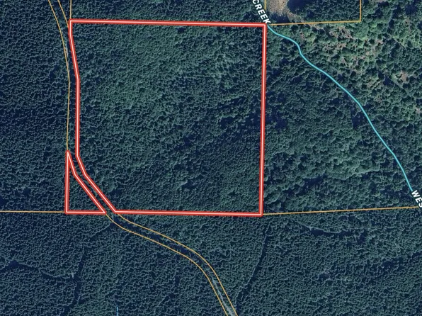 NW Pebble Creek Rd, Buxton, OR 97109