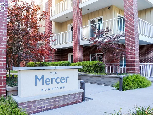 The Mercer