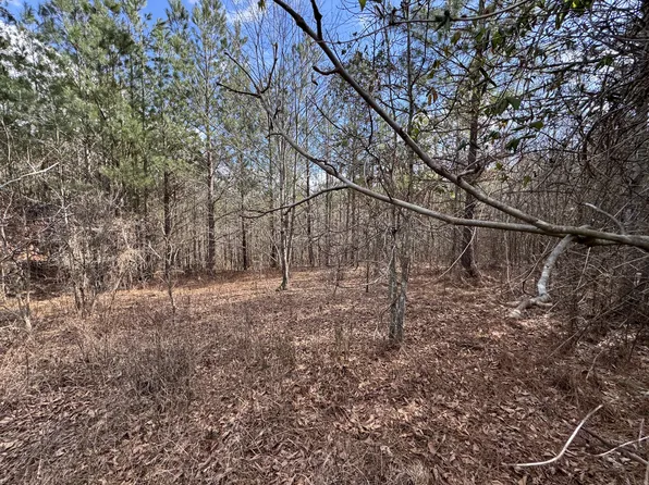 0 Old Mail Rd Lot 16, Duck River, TN 38454