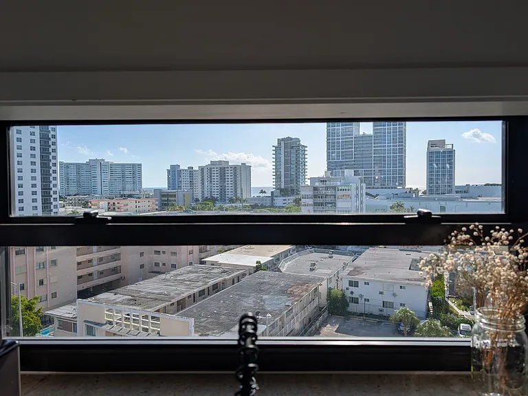 Views from the kitchen window
