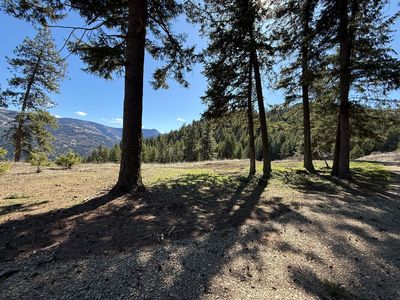 Coogan Creek Rd, Wauconda, WA, 98859