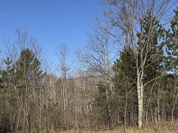 2nd image of 40 ac COUNTY RD X / DEER LAKE ROAD