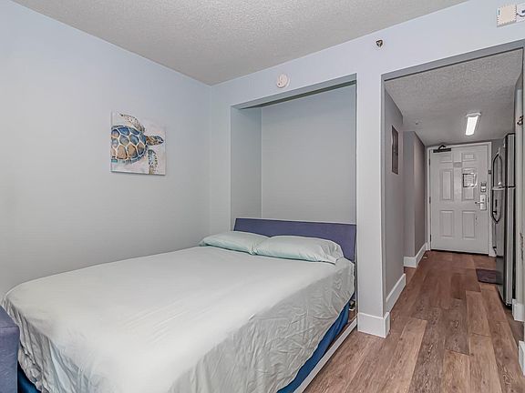 Full-size Murphy bed with updated comfy mattress!
