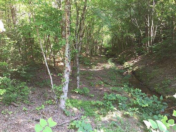 3rd image of Vacant Lot Tennessee Ave