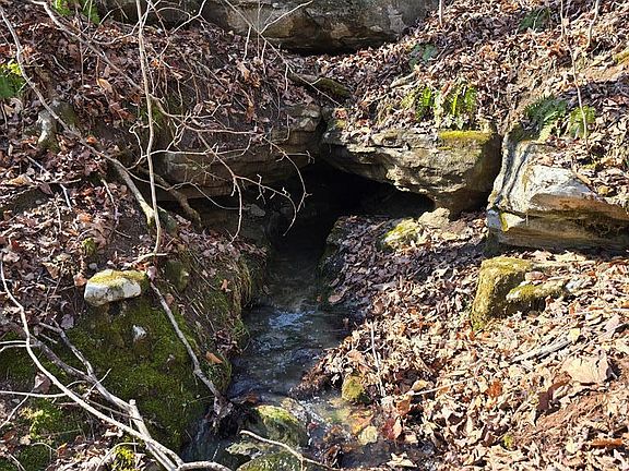 5th image of 3049AC Bear Hollow Ln