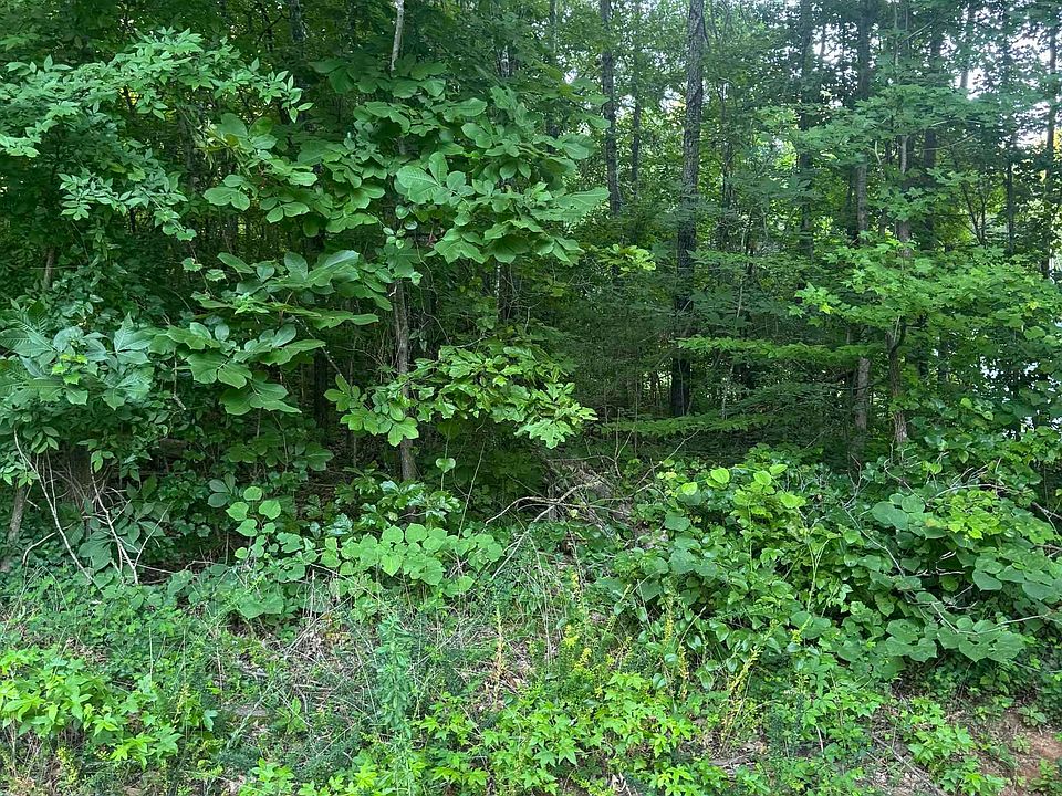 2nd image of LOT 71 Goldenrod Way