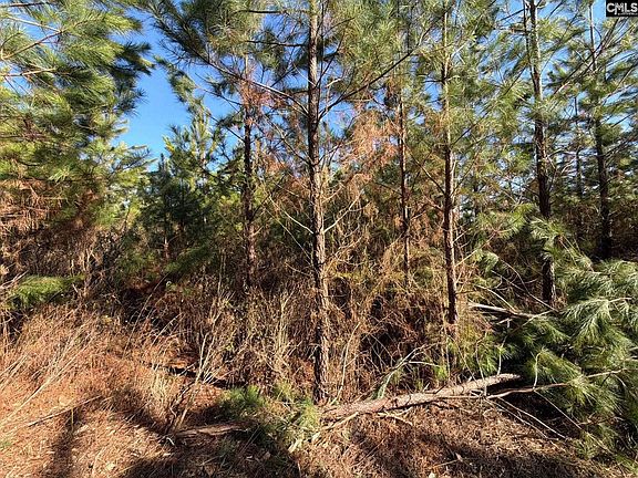 5th image of Bff Ii 8 Brunson Teal Rd