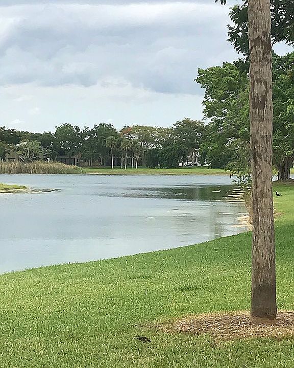 Heron apartment view