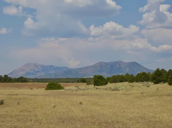LOT 40 Commanche Dr Unit 4, Walsenburg, CO 81089