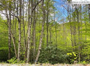 117 Deergrass Road, Beech Mountain, NC 28604