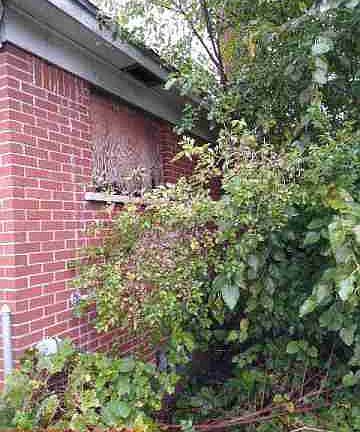 14440 Lappin