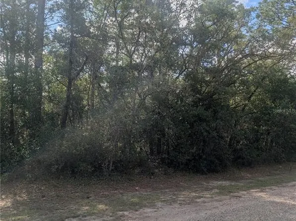 8791 N Folland Dr Lot 5, Dunnellon, FL 34433