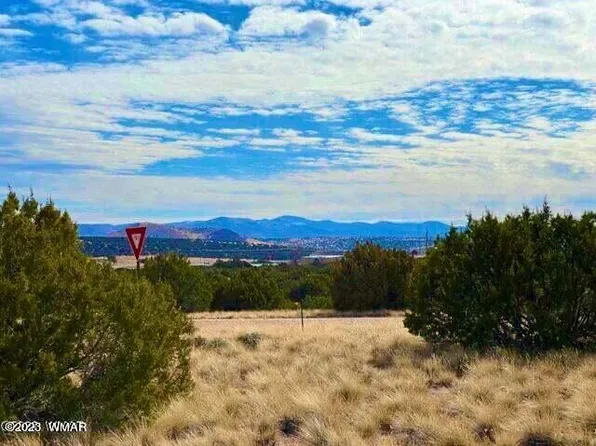 123 County Road 5060 Dr, Concho, AZ 85924