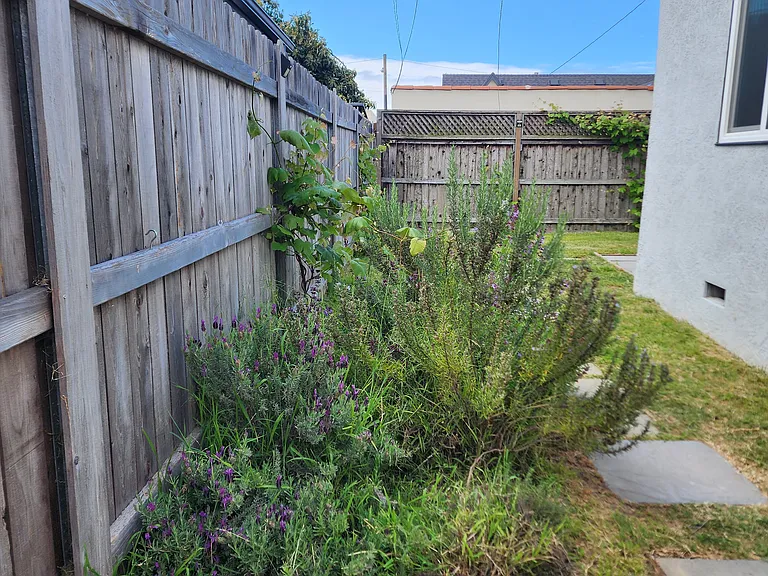 116 E Lewis St #B — Photo 31
