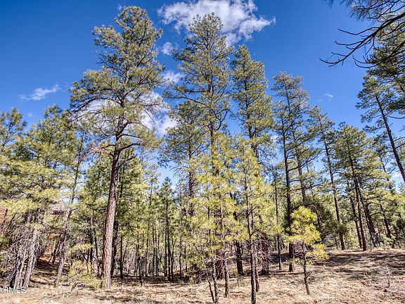 2nd image of 401 N Silverleaf Lane #62