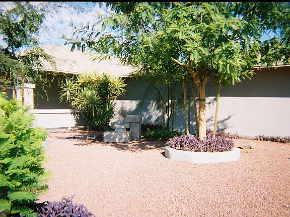Desert landscape