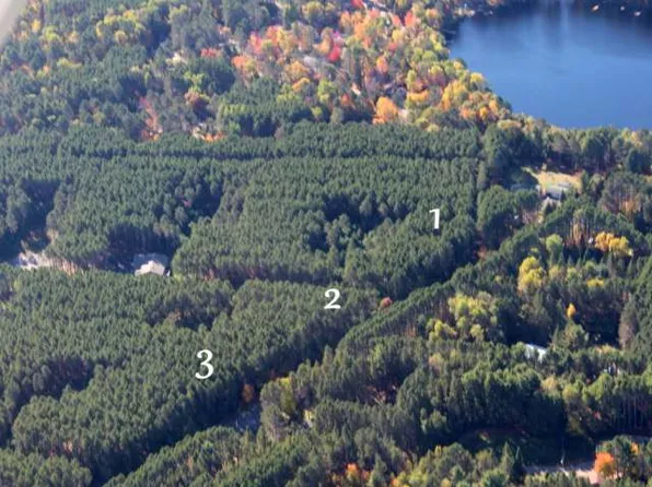 LOT 3 S Old Highway 51 Rd, Woodruff, WI 54568