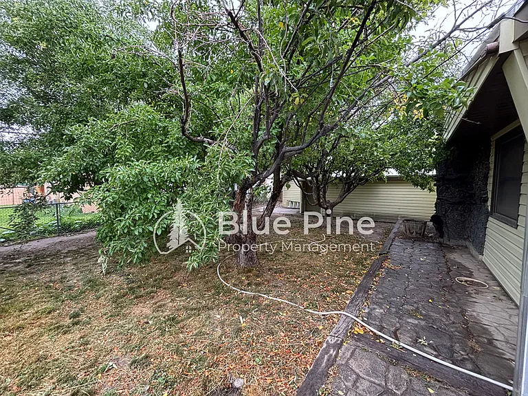 1080 Halsey St — Photo 4