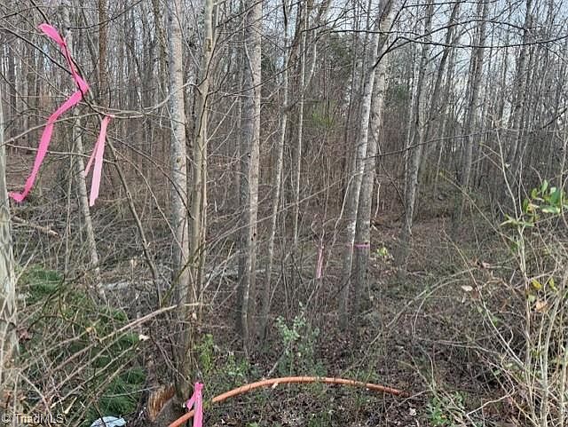 2nd image of 0 Booker T Womble Rd Lot 22