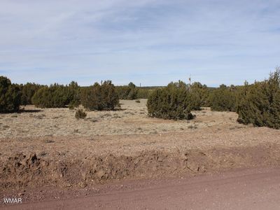 53 County Road 3035, Concho, AZ, 85924