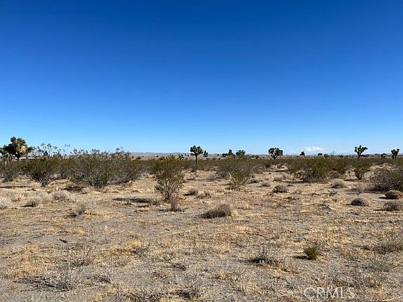 2nd image of 0 Luna Rd #309806115