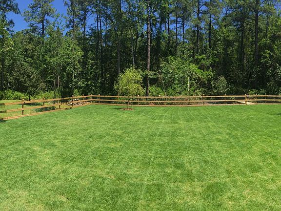 View from the back deck